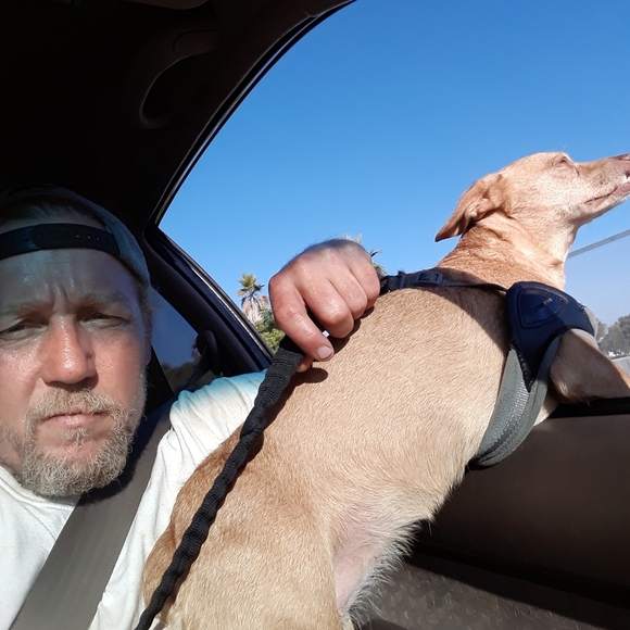 Meet your Posher, David - Picture 5 of 13